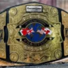 AEW ALL ATLANTIC CHAMPIONSHIP BELT - championship belt maker