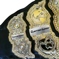 AEW Championship belt side plate