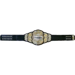 AEW Championship belt