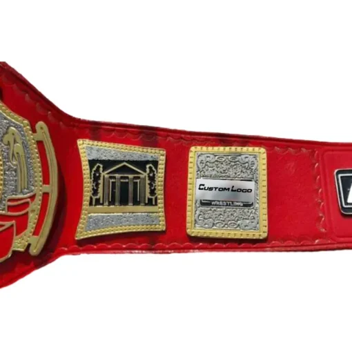 AEW TNT Championship Replica Belt