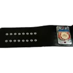 AWA INMATE HEAVYWEIGHT REPLICA Championship Belt