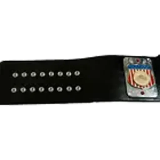 AWA INMATE HEAVYWEIGHT REPLICA Championship Belt