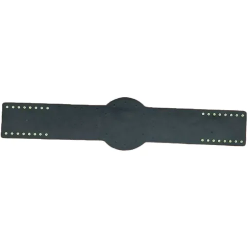 Big Green Championship Belt