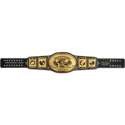 Chyna Intercontinental Signature Series Championship Title Belt
