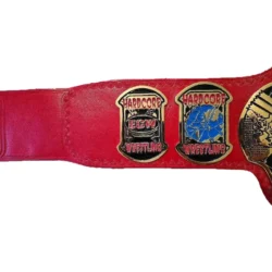 ECW Heavyweight Championship Title Belt (2)