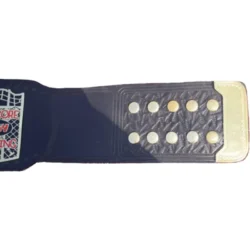 ECW Tag Team Championship Wrestling (2)