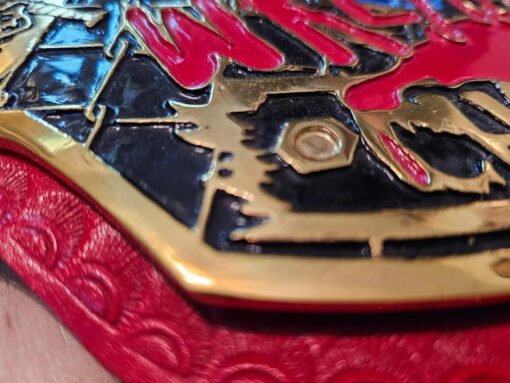 ECWWrestlingHeavyweightBelt4 - Championshipbeltmaker
