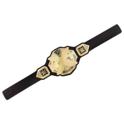 NXT Championship custom Title Belt (3)