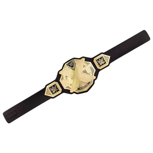 NXT Championship custom Title Belt (3)