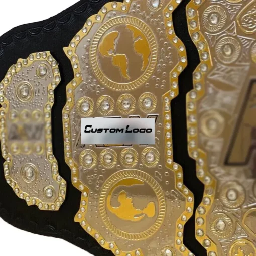 AEW World Heavyweight Championship Belt - side plates