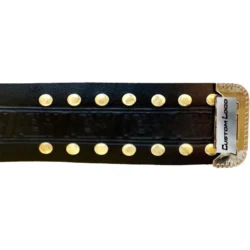AEW World Heavyweight Championship Belt strap