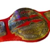 TNA X DIVISION Championship Belt