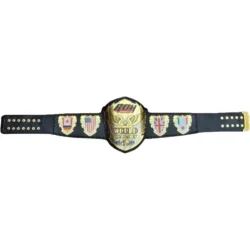 ROH World Wrestling Heavyweight (1)