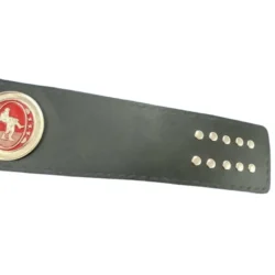 SOUTHERN HEAVYWEIGHT Zinc Metal Championship Belt (3)