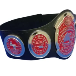 SOUTHERN HEAVYWEIGHT Zinc Metal Championship Belt (4)
