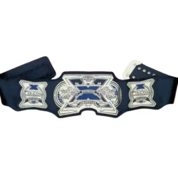 TNA Division Champion Belt (1)
