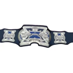 TNA Division Champion Belt (4)