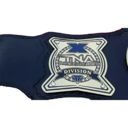 TNA Division Champion Belt (5)