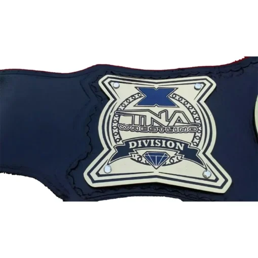 TNA Division Champion Belt (5)