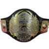 TNA Heavyweight Championship Replica Belt