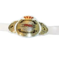 TNA Wrestling Women's Championship Belt