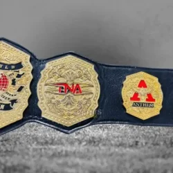 TNA World Championship Replica Belt side plate