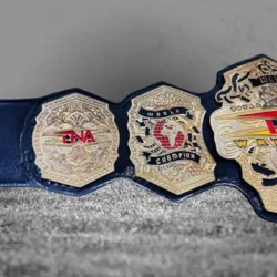 TNA World Championship Replica Belt side plates