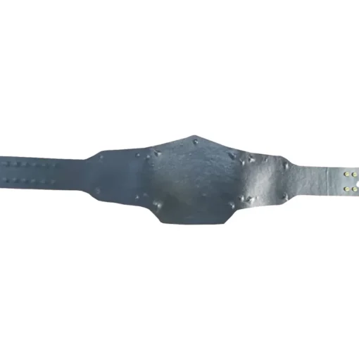 Tribute To Bray Wyatt Custom Championship Leather Belt (1)