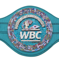 WBC Emerald Championship Belt