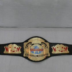 WCWCruiserweightWrestlingChampionshipBelt1 - Championshipbeltmaker