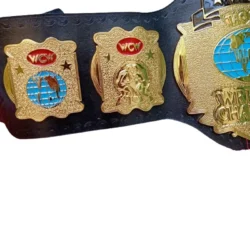 WORLD TAG TEAM WCW WRESTLING CHAMPION (4)