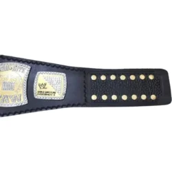 WWE Edge Rated R Championship World Heavyweight Spinner Title belt (3)