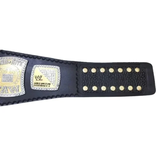 WWE Edge Rated R Championship World Heavyweight Spinner Title belt (3)