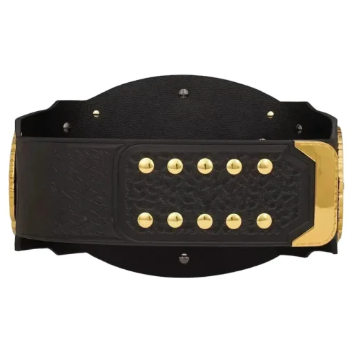 WWE NXT UK Tag Team Championship tailored Title Belt (1)