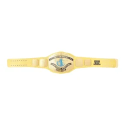 WWE Yellow Intercontinental Wrestling Championship custom Title Belt (4)