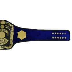 WWWF Bruno Sammartino championship Belt (3)