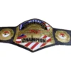 Tna Wrestling Championship Belt - custom TNA wrestling belt