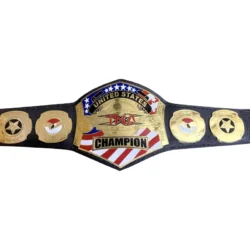 Tna Wrestling Championship Belt (3)