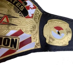 Tna Wrestling Championship Belt (4)