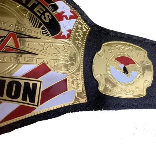 Tna Wrestling Championship Belt (4)