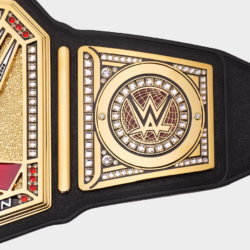 Undisputed Title Belt side plate