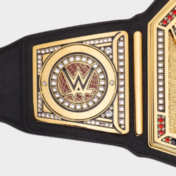 Undisputed Title Belt side plate 2