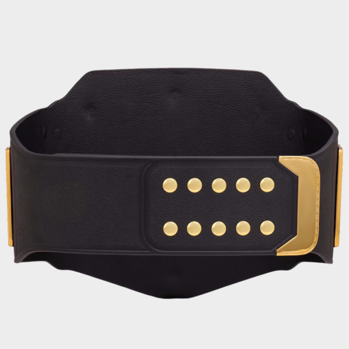 Undisputed championship Wrestling Belt back side