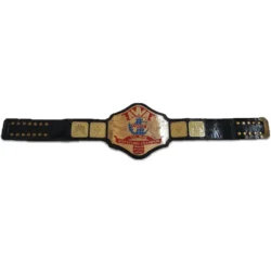 AWA World Tag Team Wrestling Championship Title Belt (1)