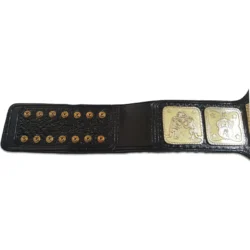 AWA World Tag Team Wrestling Championship Title Belt (2)