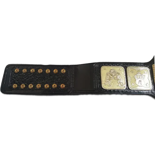 AWA World Tag Team Wrestling Championship Title Belt (2)