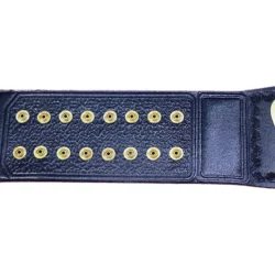 ECW Television Championship Belt (1)