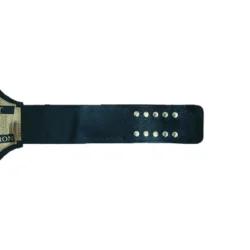 ECW World Television Heavyweight Championship Belt (1)