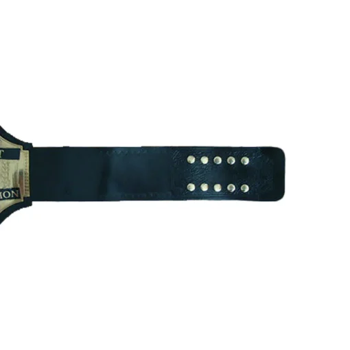 ECW World Television Heavyweight Championship Belt (1)