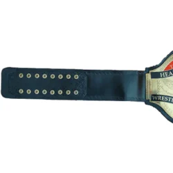 ECW World Television Heavyweight Championship Belt (2)